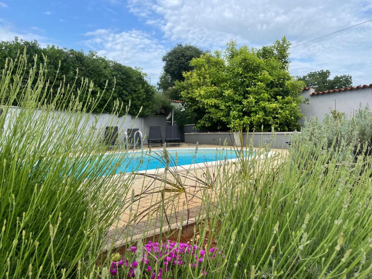 Kaštelir Villa Elisa מראה חיצוני תמונה